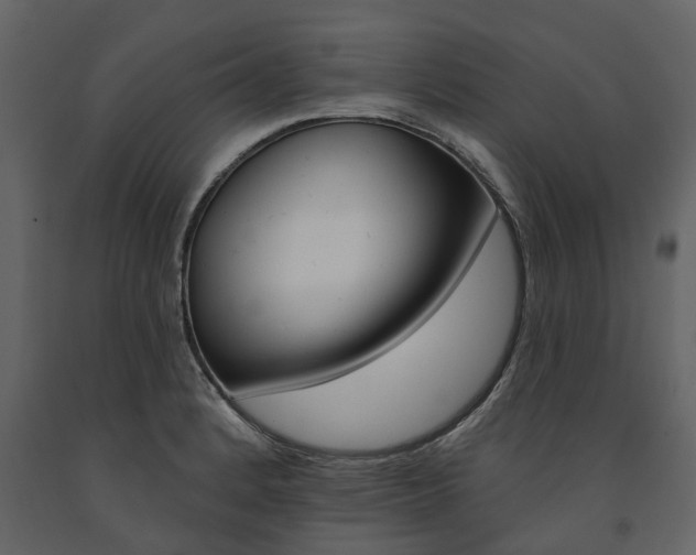 X0000091671184200708231006