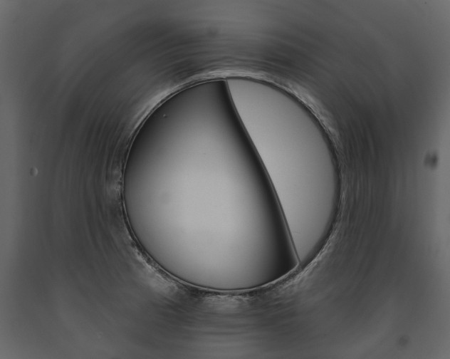 X0000091671185200708231006