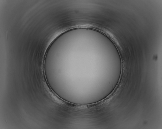 X0000091671186200708231006