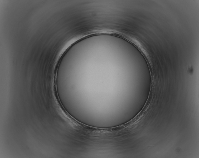 X0000091671187200708231006