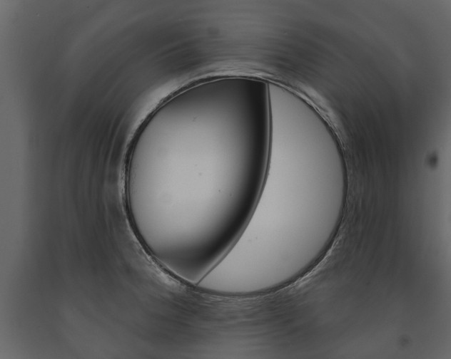 X0000091671188200708231006