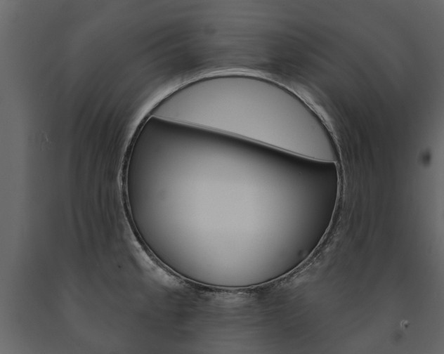 X0000091671189200708231006