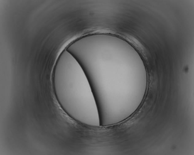 X0000091671190200708231006
