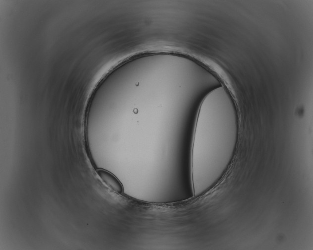 X0000091671191200708231006