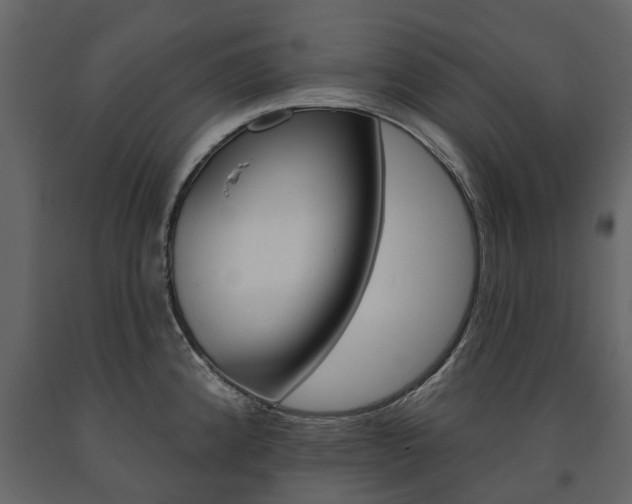 X0000091671192200708231006