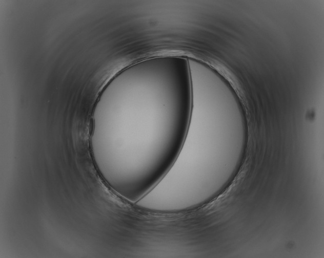 X0000091671193200708231006