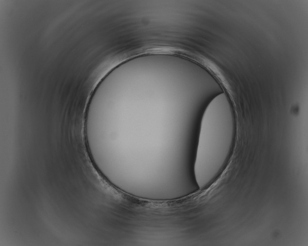 X0000091671194200708231006