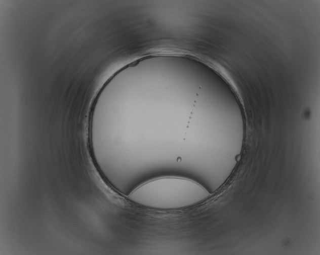X0000091671195200708231006