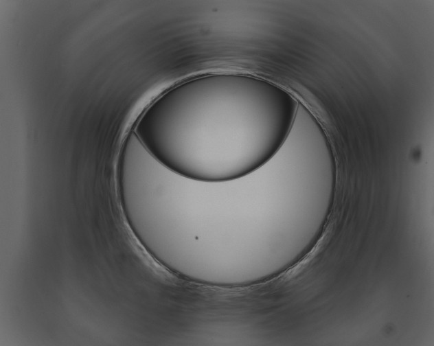 X0000091671196200708231006