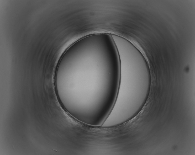 X0000091671197200708231006