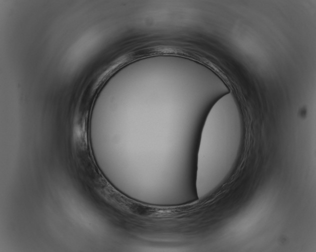 X0000091671198200708231006