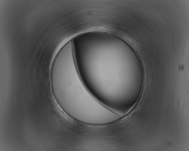 X0000091671200200708231006