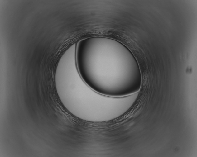 X0000091671202200708231006