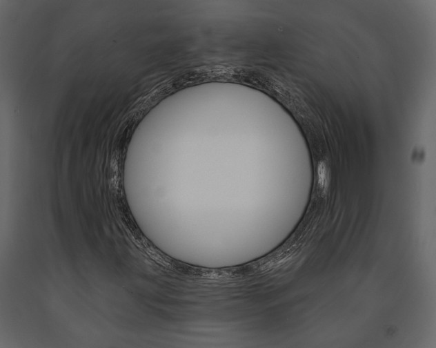 X0000091671203200708231006