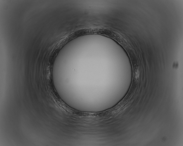 X0000091671204200708231006