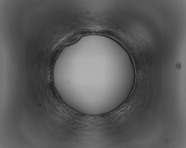 X0000091671205200708231006
