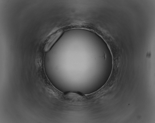 X0000091671206200708231006