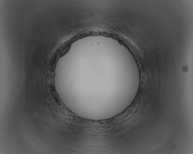 X0000091671207200708231006