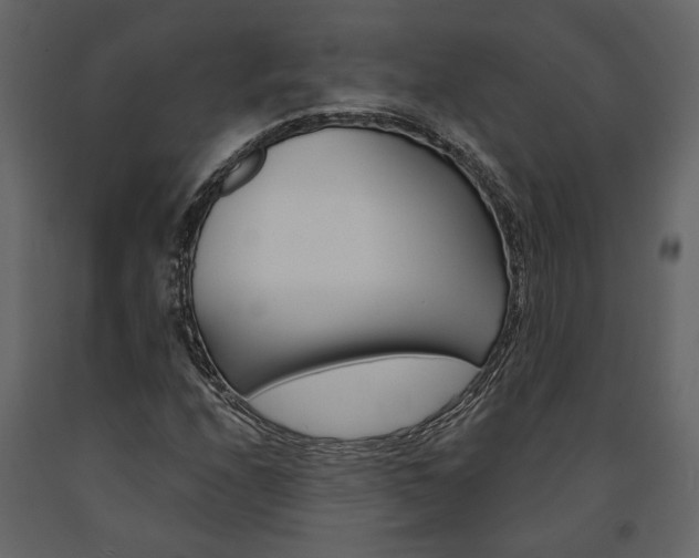 X0000091671208200708231006