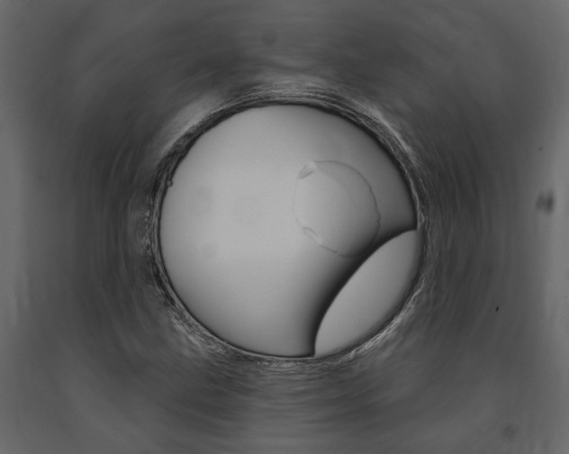 X0000091671211200708231006