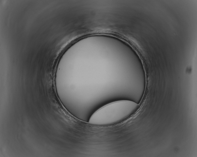 X0000091671212200708231006