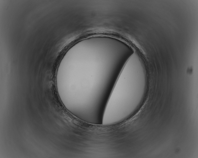 X0000091671213200708231006
