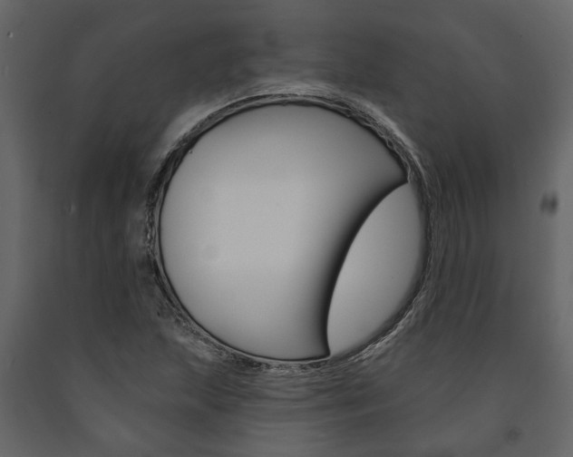 X0000091671215200708231006