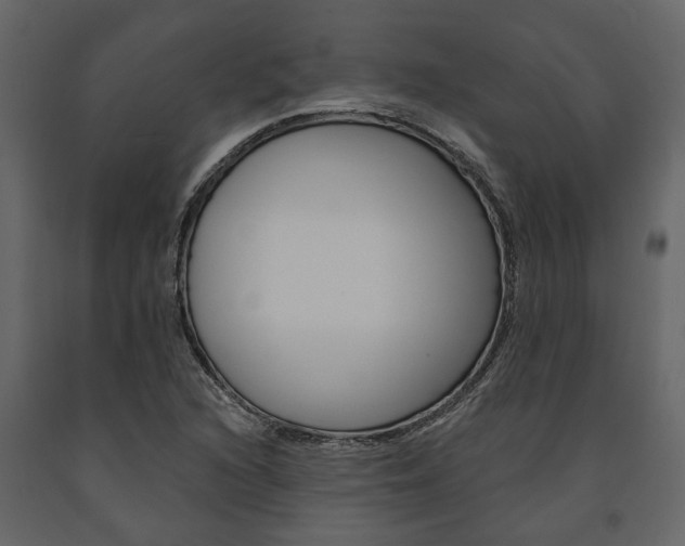 X0000091671216200708231006