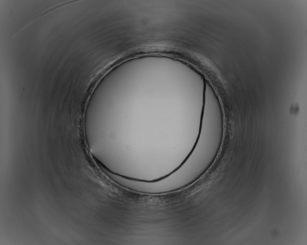 X0000091671217200708231006