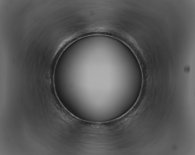 X0000091671218200708231006