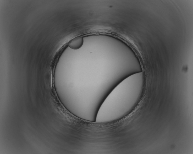X0000091671219200708231006