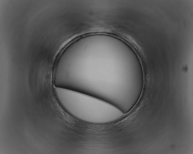 X0000091671220200708231006