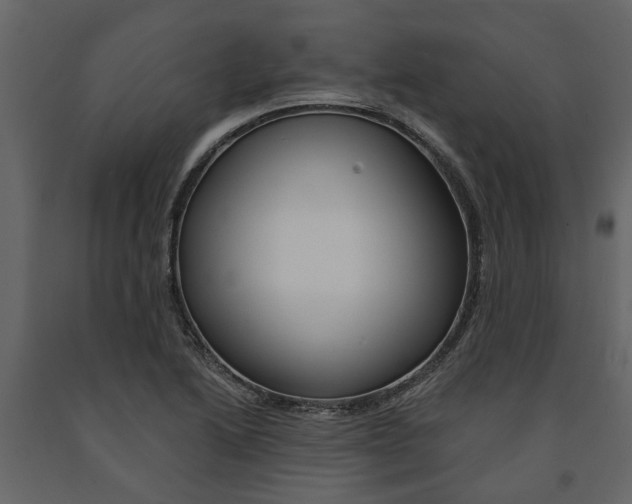 X0000091671222200708231006