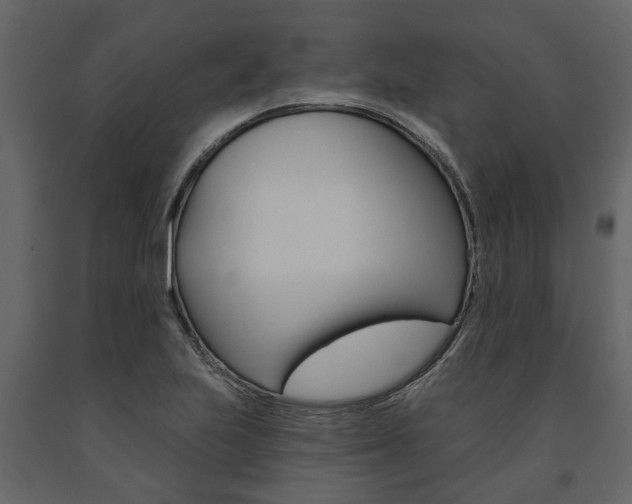 X0000091671223200708231006