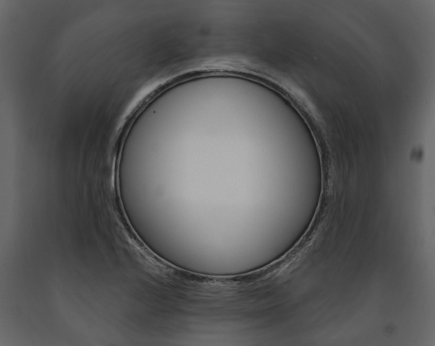 X0000091671224200708231006