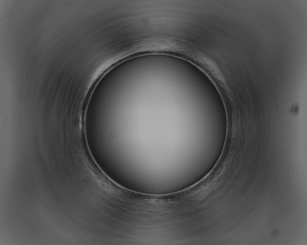 X0000091671226200708231006