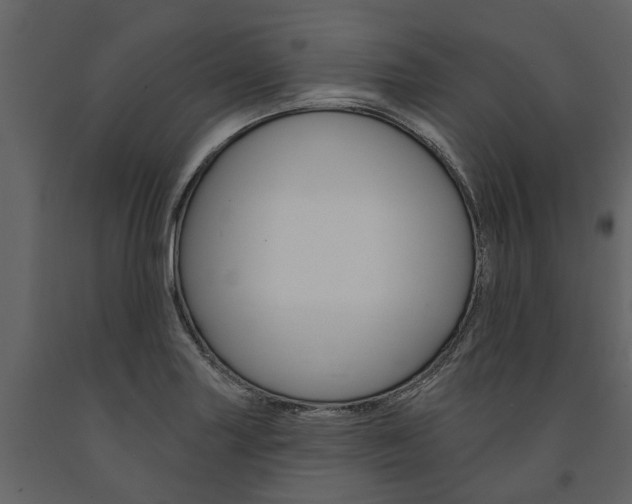 X0000091671227200708231006