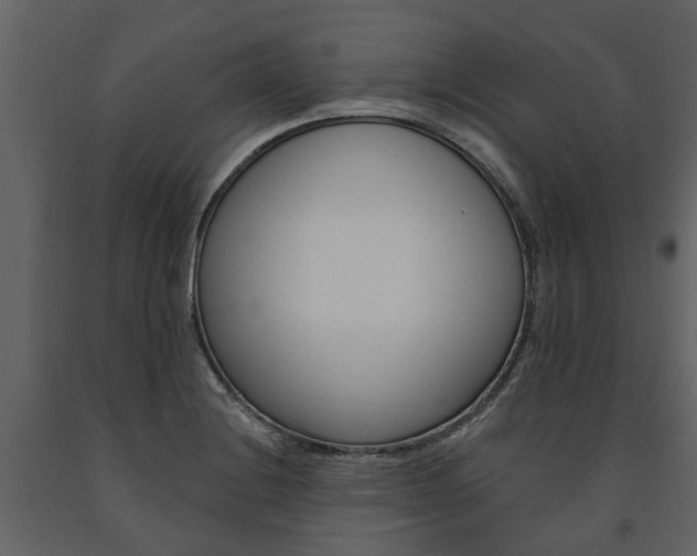 X0000091671228200708231006