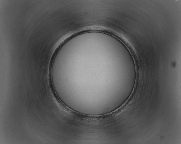 X0000091671229200708231006