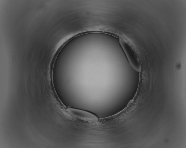 X0000091671230200708231006
