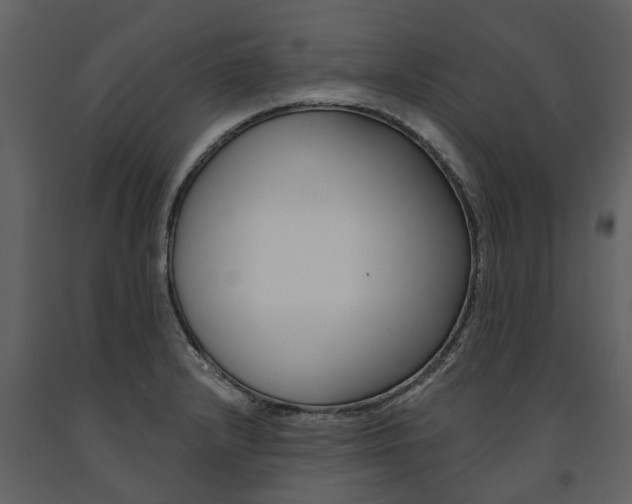 X0000091671232200708231006