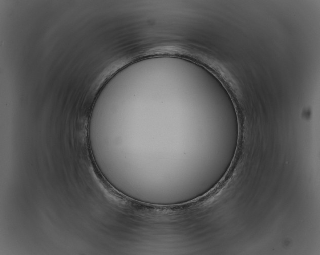 X0000091671233200708231006