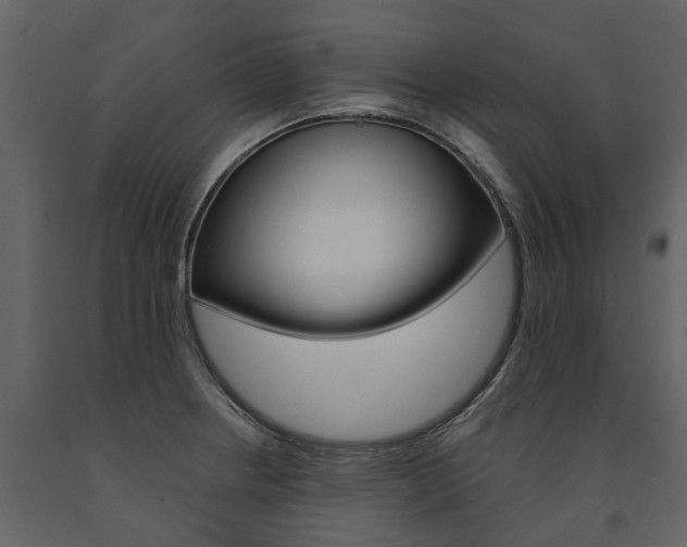 X0000091671234200708231006
