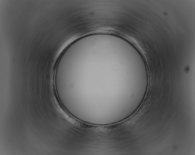 X0000091671235200708231006