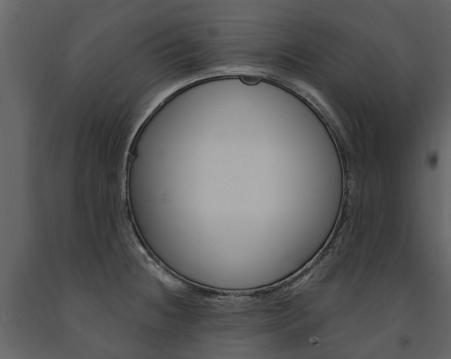 X0000091671236200708231006