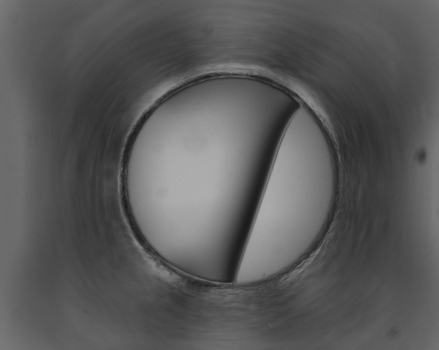 X0000091671237200708231006