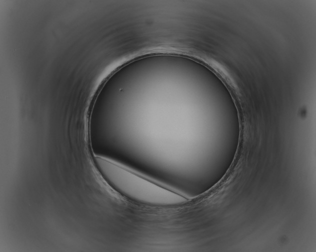 X0000091671238200708231006