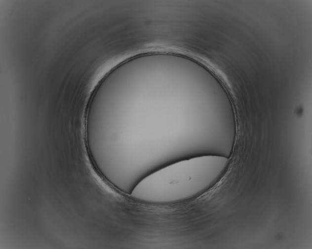 X0000091671239200708231006