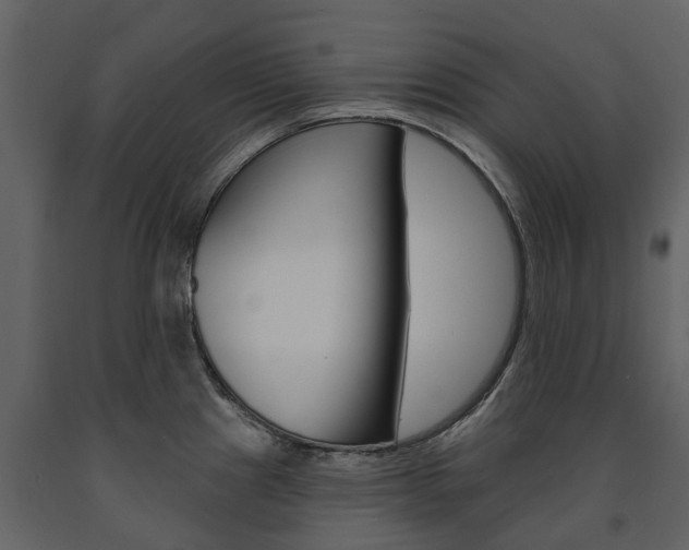 X0000091671241200708231006