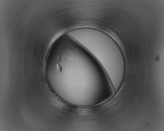 X0000091671242200708231006